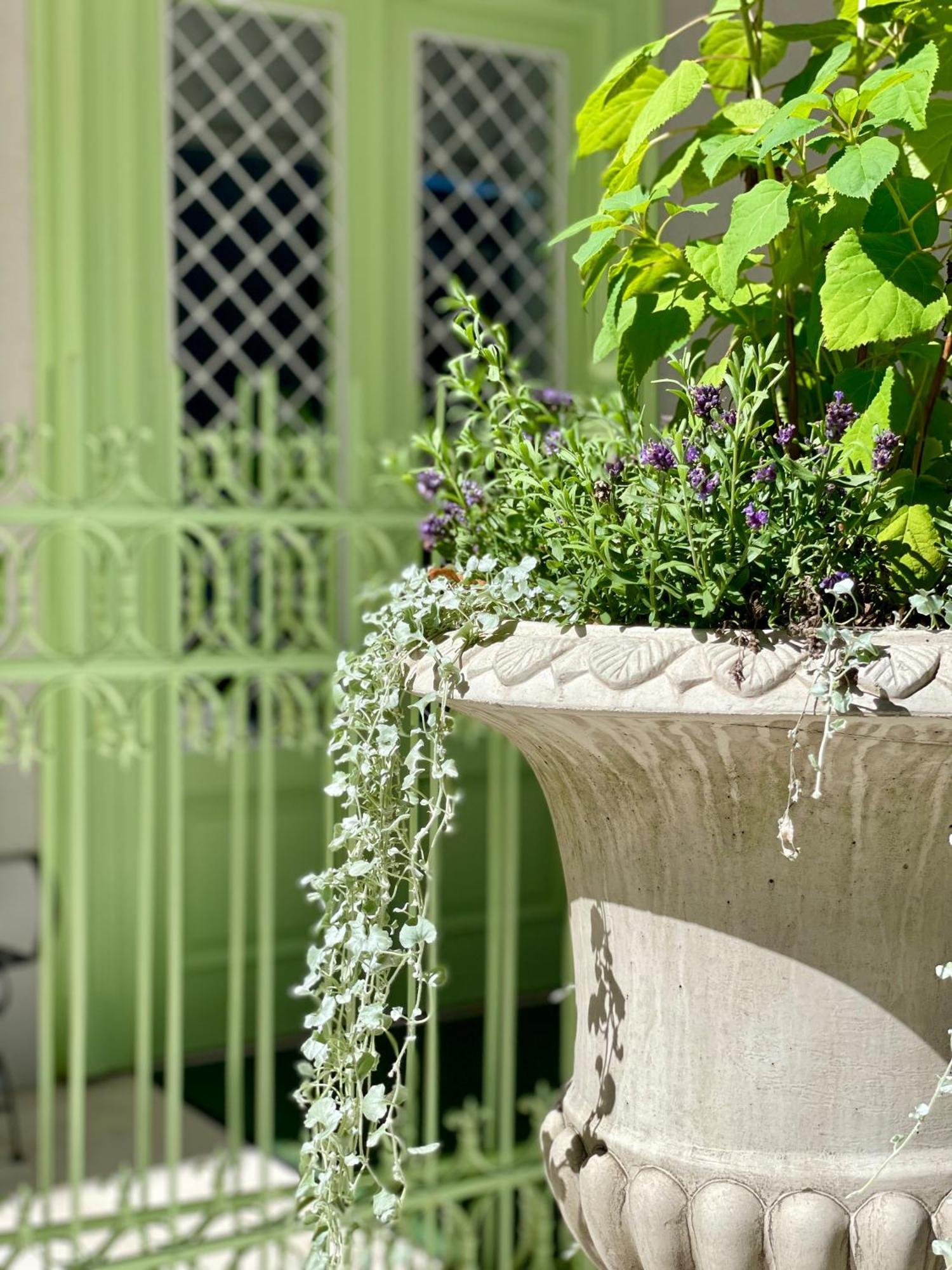 Villa Wickenburg Salzburg Eksteriør bilde